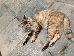 -终南山南五台景区