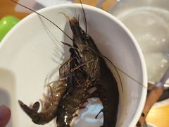 -养牛邓·潮汕牛肉海鲜自助火锅(广州店)