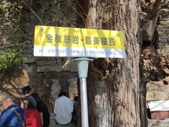 -大慈岩风景区