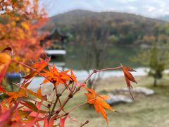 -南山风景名胜区