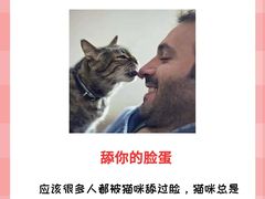 -lincat·猫舍(广州店)