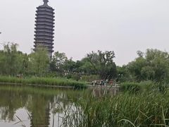 -西海子公园