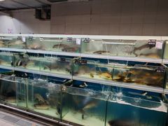 -永辉超市(六里桥店)