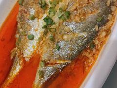 家常炖黄鱼-宏宴·新京菜(望京店)