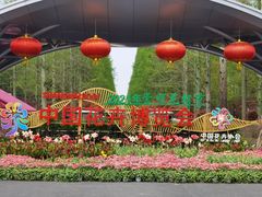 -东平国家森林公园