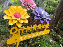 -东平国家森林公园