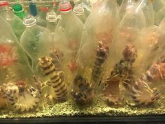 -Isla Sugbu Seafood City