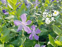 -云南野生动物园