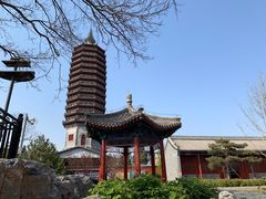 -西海子公园