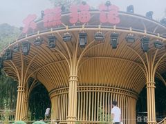 -栾川竹海野生动物园