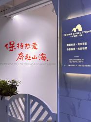 -卡门舞蹈