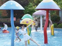 -苏州乐园森林水世界