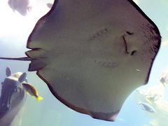 -梦幻海洋王国(吾悦广场张家港店)