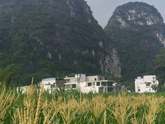-明仕田园