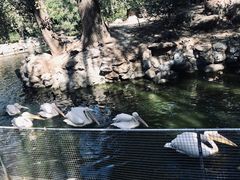 景点-北京动物园