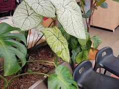 -南拳十三姨·潮汕砂锅粥·粤菜(西单大悦城店)