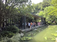 -云溪植物园