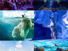 -上海海昌海洋公园