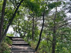 -帽儿山国家森林公园