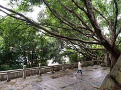 -鸿山公园
