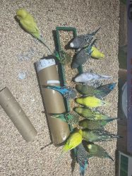 -金都微美·精准护肤·疗愈SPA