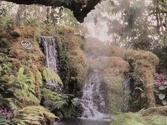 -Chom Cafe and Restaurant