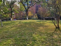 -沙河三洞古桥公园