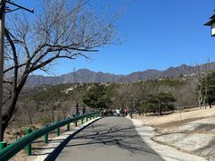 -白水寺森林公园