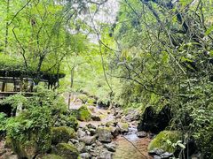 -青城山