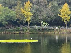 -重庆彩云湖湿地公园