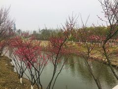 -东台西溪天仙缘景区