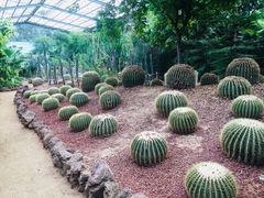 -北京呀路古热带植物园