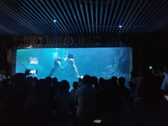 -左海海底世界