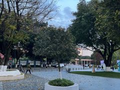 -西南政法大学(渝北校区)