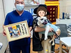 -北京观赏动物医院·24小时大型综合·猫专科·异宠专科