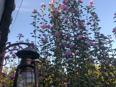 -沿海405烤场(沿海赛洛城店)