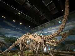 -自贡恐龙博物馆