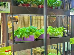 -番食园鲜食火锅(高新店)