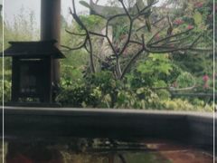 -清远熹乐谷温泉度假酒店