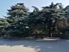 -淮海战役纪念馆