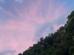 -福道