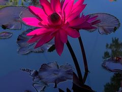 -国家植物园南园