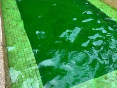 -春晖园度假酒店温泉