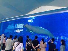 -泉城欧乐堡海洋极地世界