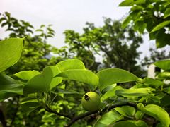 -雅达·阳羡溪山小镇中心
