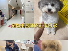 -御宝贝24h宠物医院·转诊中心·CT核磁血透中心(厦门总院)