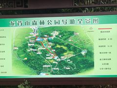 -宜兴龙背山森林公园