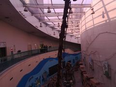 -陕西自然博物馆