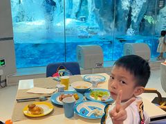 -帝企鹅自助餐厅•儿童岛•真企鹅(长隆企鹅酒店)