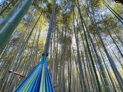 -陶祖圣境风景区